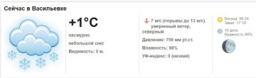 Сегодня, 26 февраля 2026 года в Васильевке пасмурно, небольшой снег