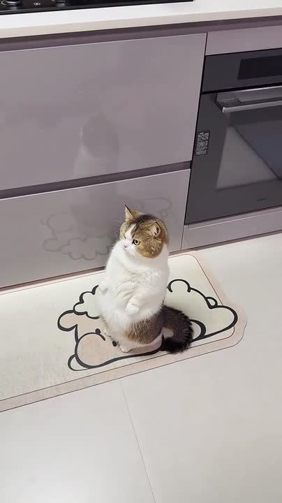 ���, �������. ����� ������ � ������������� � �������� ��������� ��������