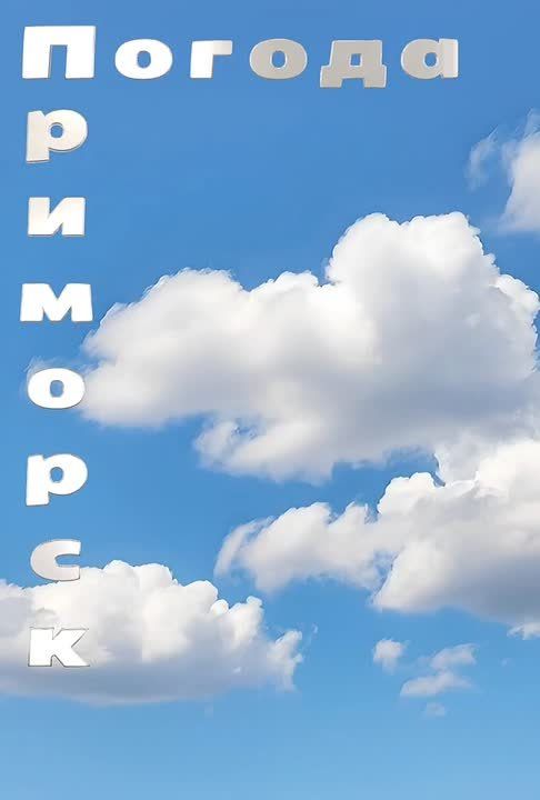 ������ �������� (���������� �����), 27.02.2026