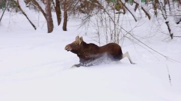 � ��� ��� ������� � ��������?