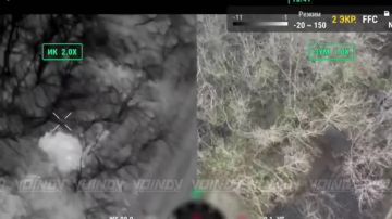 ����������� ����� ���� ���������� ����������� ���� 1461 ��������������� ����� 36 ����� ����������� ����� "������"