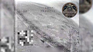 ����������� �����������. ��������� ������ ������������� "�����" 1455 ����� ������� ���� �� ����� ������� ���������� ����� ��.������