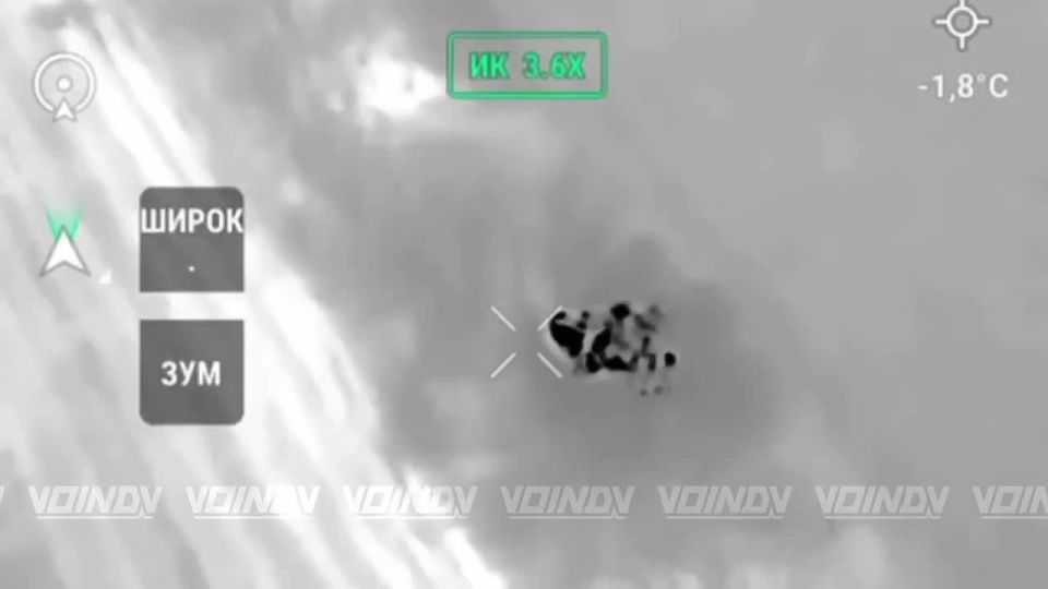 ��������� ���� 37 ������� 36 ����� ���������� ����� ���� ���������� � ���������� � ����������� �������