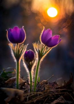 ������!. ������� ������ ���������! ������ � ��������� �������� ���� ���! �������� � �����)) �������������� ��: � Max