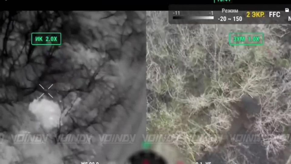 ����������� ����� ���� ���������� ����������� ���� 1461 ��������������� ����� 36 ����� ����������� ����� "������"