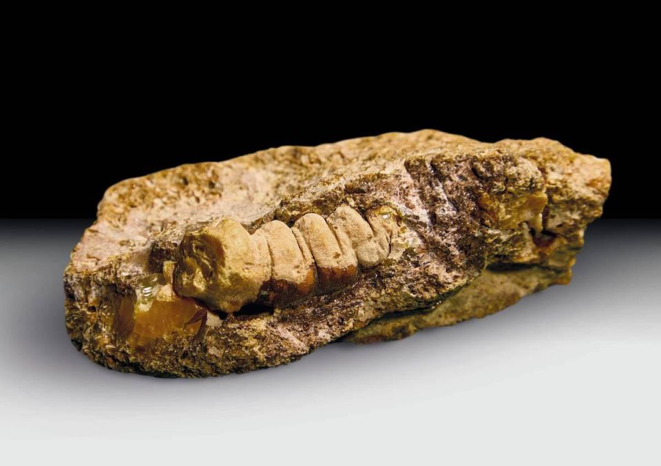 ��������� ������-��� ����� � ������