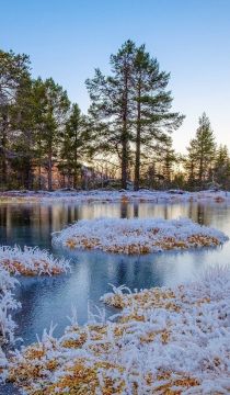 Всем добрых сновидений!