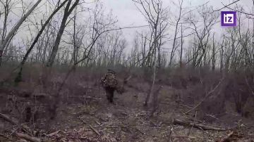 �������� ����������� ����� "������" ���������� ������� ����� � �������� ���������� ���������� � ����������� �������