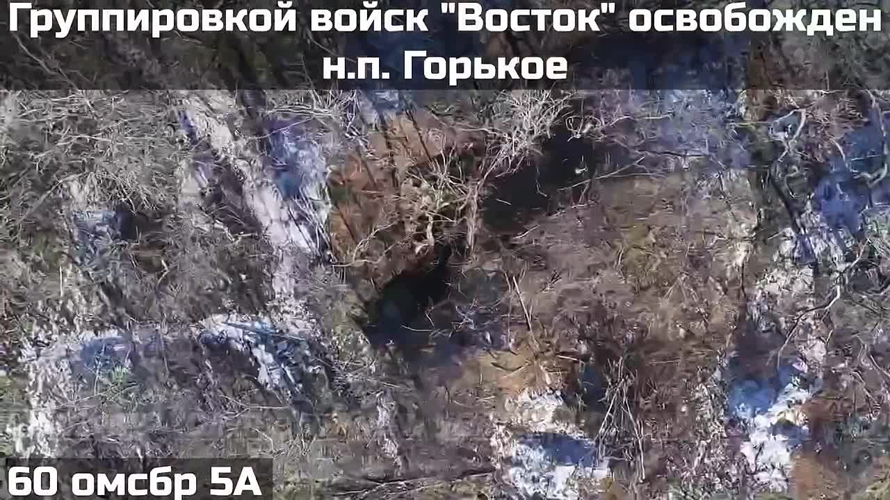 Александр Коц: Российская армия освободила Горькое и Нескучное