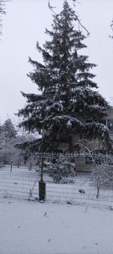 ������ ������ �������, �������, �����������, ���������, �������, �������� � ����������� ����