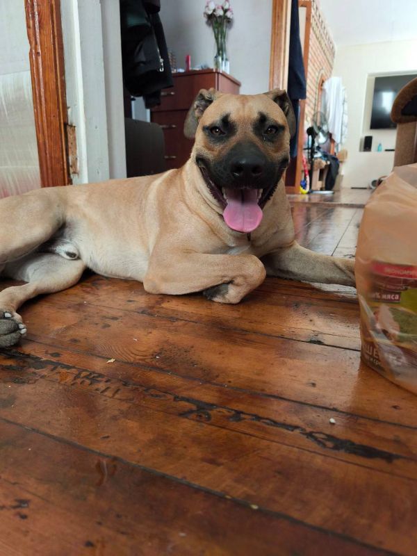 ������� ������. ������, ����� ������