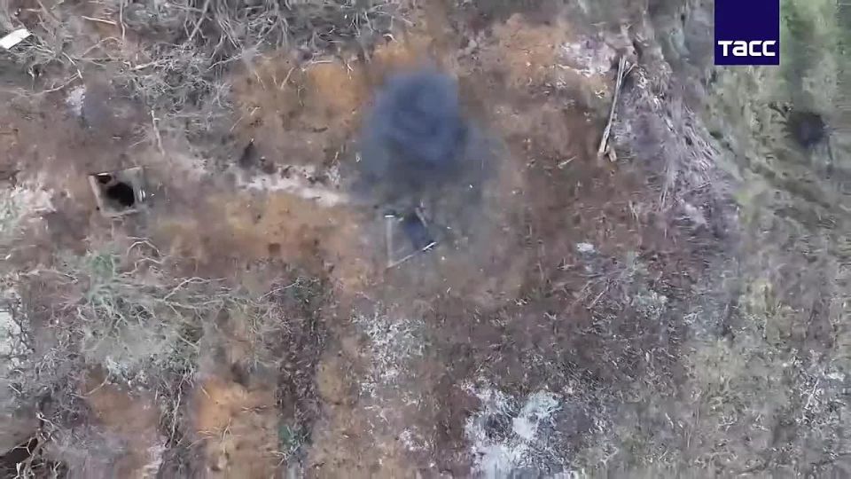 ������� � ����������� ������� � ��������� � ����������� ������� ����������� ���������� ������