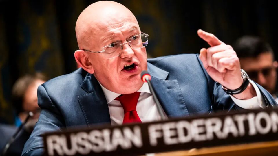 Украинка сказала Небензе - "Не притворяйтесь!". Зря она так