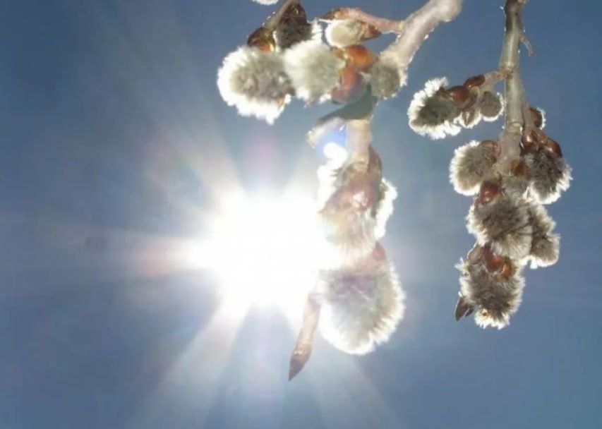 ������ ����. � �� �����, ��� �������