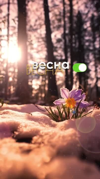 ������� ����, ������� ������������!!!