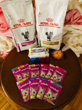 1 ����� � ���� �����: �������� ������ ����� �����