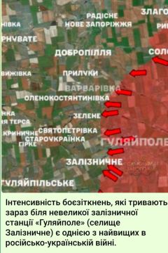 ���������� ��������� �������� ������� ������������� ���� �� ������������� �����������