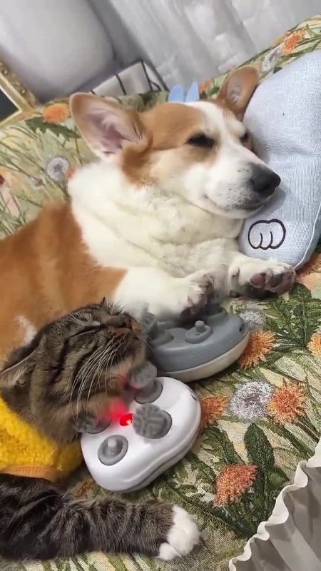 �������� ���������. ������������� � ���������� ��� ����� ����� ������� �������