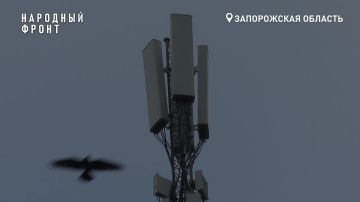 �������� ����� �������� ������������� ��������������� �������