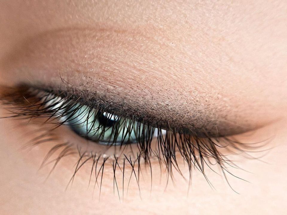 311111165. ������������ ������ � ���� �� ����� �������� �������� � ��������� ������� - �������� �����: ���������� ������ ���������� ������� ����������� �� ������/����