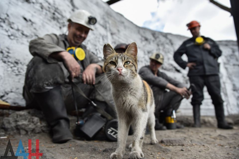 ������ ����� ����� �����. �� � ����� ���� �� ������������