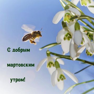 � ������ ����� ������������