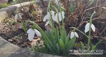 ��� ������ ������ �������� ������ ���������� ������ ������� �������, ������ ���������� ��������� ������ � ���������� ����, ����������� ����� � �������