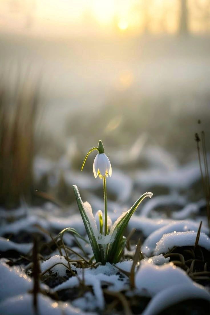 Всем доброго утра и лёгкой недели!