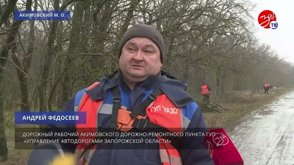 В Акимовском районе на трассе М-18, ведущей к селу Данило-Ивановка, провели плановую обрезку деревьев
