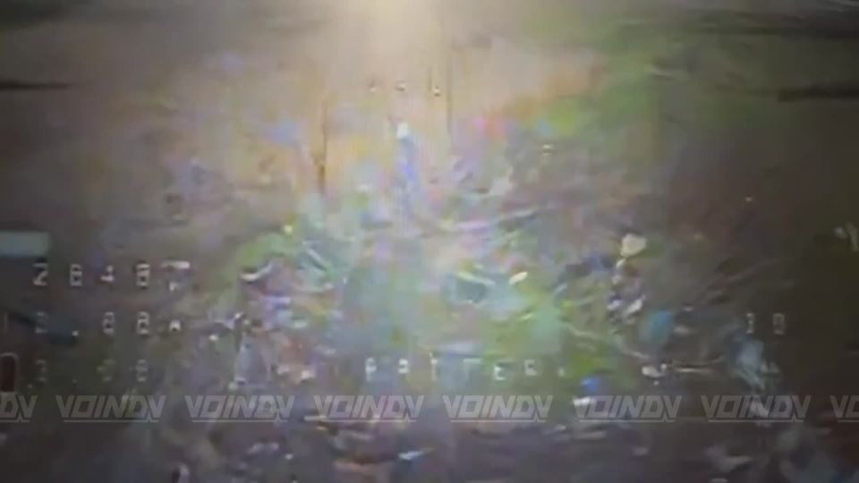 ��������� ���� 5 ����� ����������� ����� "������" ���������� �������� ����� � ���� ���������� � ����������� �������