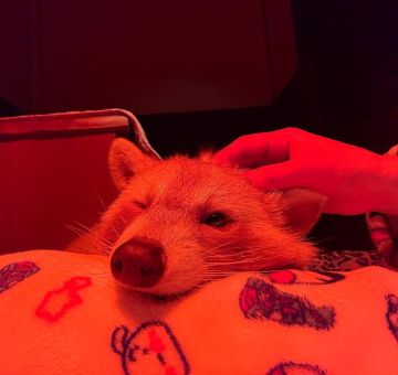 ������ ����, ������� ����������! ������ ����, ���������!