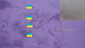 ������ �������: ����� ������ ������ �������������� ����������� ����� ������� �� ������������ ���������� ������ ������� � ����������� �������