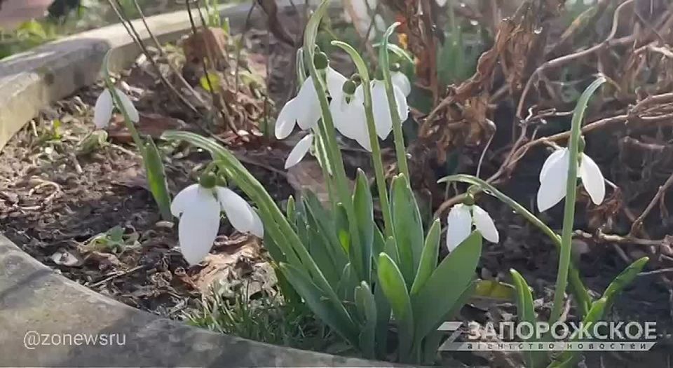 ��� ������ ������ �������� ������ ���������� ������ ������� �������, ������ ���������� ��������� ������ � ���������� ����, ����������� ����� � �������