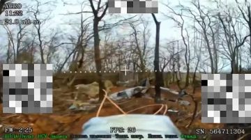 Ореховское направление. Оператор ударного дрона