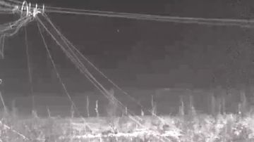 Снайперы ВС РФ скорректировали артиллерию ВДВ и уничтожили грузовой БПЛА и пехоту ВСУ в Запорожской области