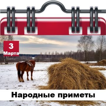 Народные приметы 3 марта. Если на земле лежит много снега, то урожай хлеба будет богатым