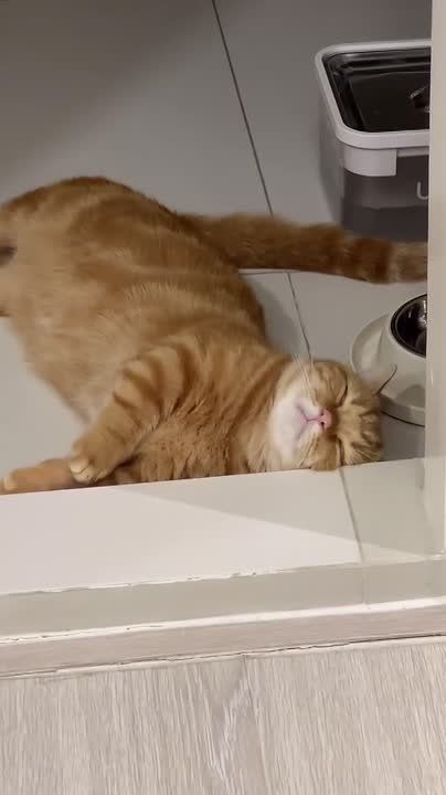 Ну здравствуй, вечер. Когда поужинал и не осталось сил на другие дела