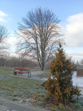 Желаем вам доброго утра! Пусть новый день начинается легко и с прекрасным настроением! Желаем безоблачного дня, достижения поставленных целей, комфорта и радости!