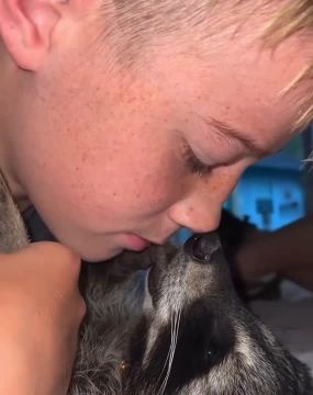 ������ ����, ������� ����������! ������ ����, ���������!