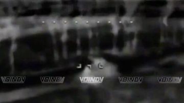 ��������� ���� 14 ����������� ������� �������� ����������� ����� "������" ���������� ������������ � ���������� ���������� �� ���������� �����������