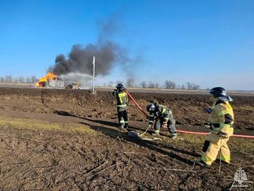 В Запорожской области тушили загоревшийся на ходу автомобиль