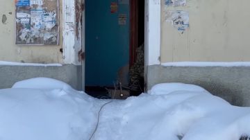 ��� ������ ������������ ���������������� ��� � ������������ �������