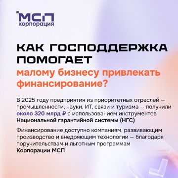 Как господдержка помогает малому бизнесу привлекать финансирование?