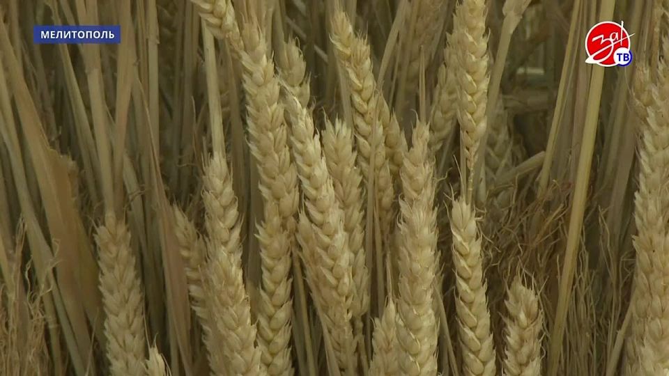 ��������� �������� �������� ���������� ������� ���������� � �������� �������� ��������