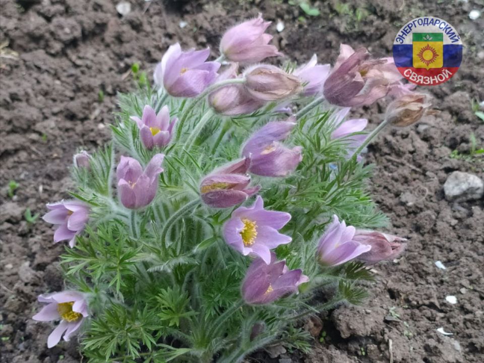 � ������, ���������� �����!