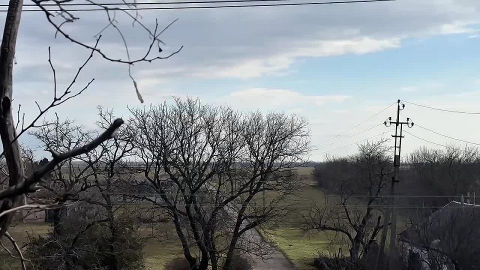 Доброе утро из Новгородковки!