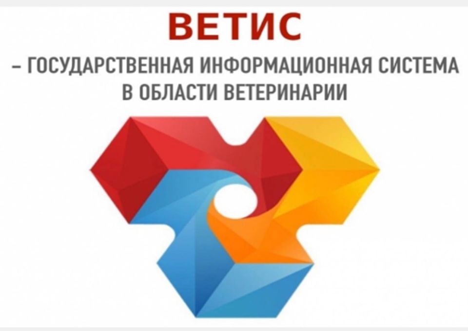 ����� ���� ������: ���� "�����" �������� �������������� �� ����������� �������