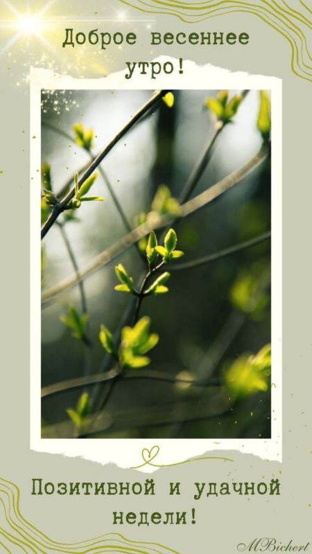 � ������ ����� ������������