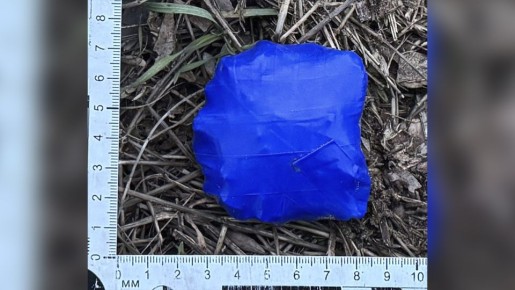 ��� ������ �������� ������ ����������� �������, ����������� ��� ����������� ������ � ����������