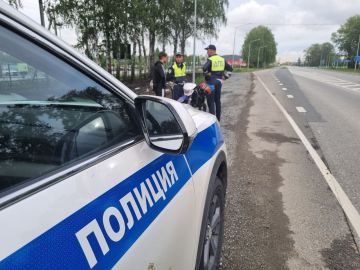 Госавтоинспекция предупреждает